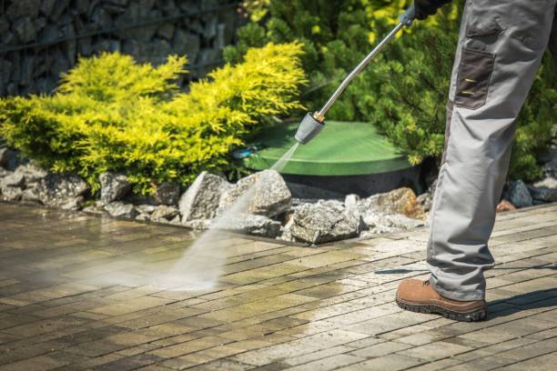 Professional Pressure Washing in Atlanta, TX