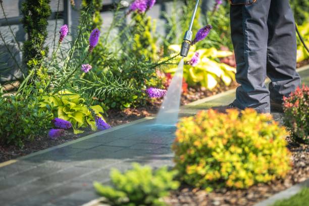 Best Driveway Pressure Washing  in Atlanta, TX